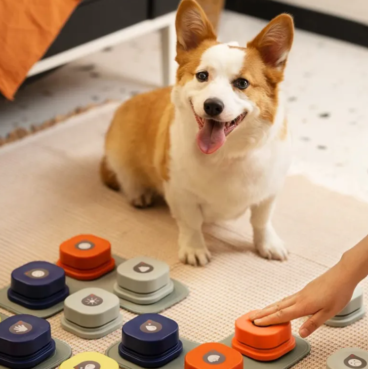 Pet Communication Button — Teach Your Dog or Cat to Talk