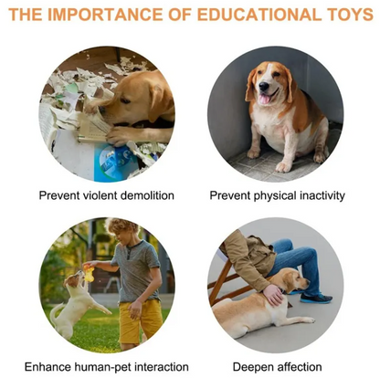 Pet Communication Button — Teach Your Dog or Cat to Talk